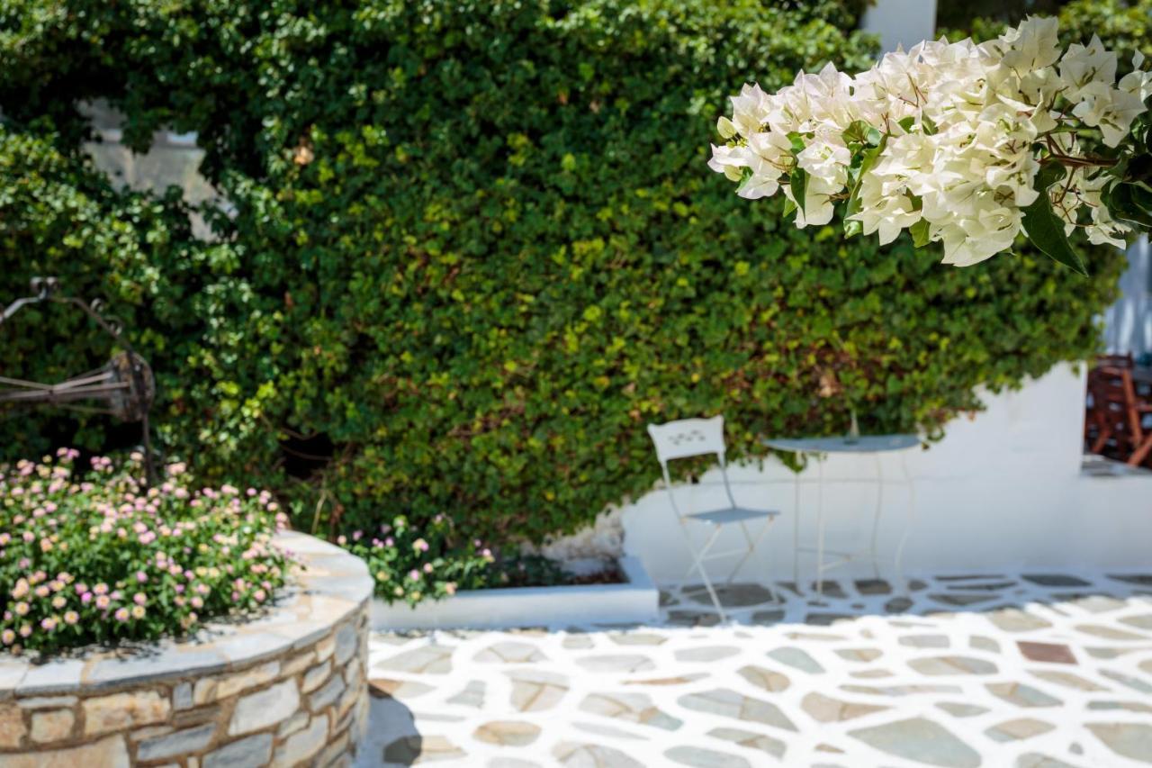 Tzane Studios & Apartments - Steps Away From Golden Beach Chrisi Akti (Paros) Exterior foto