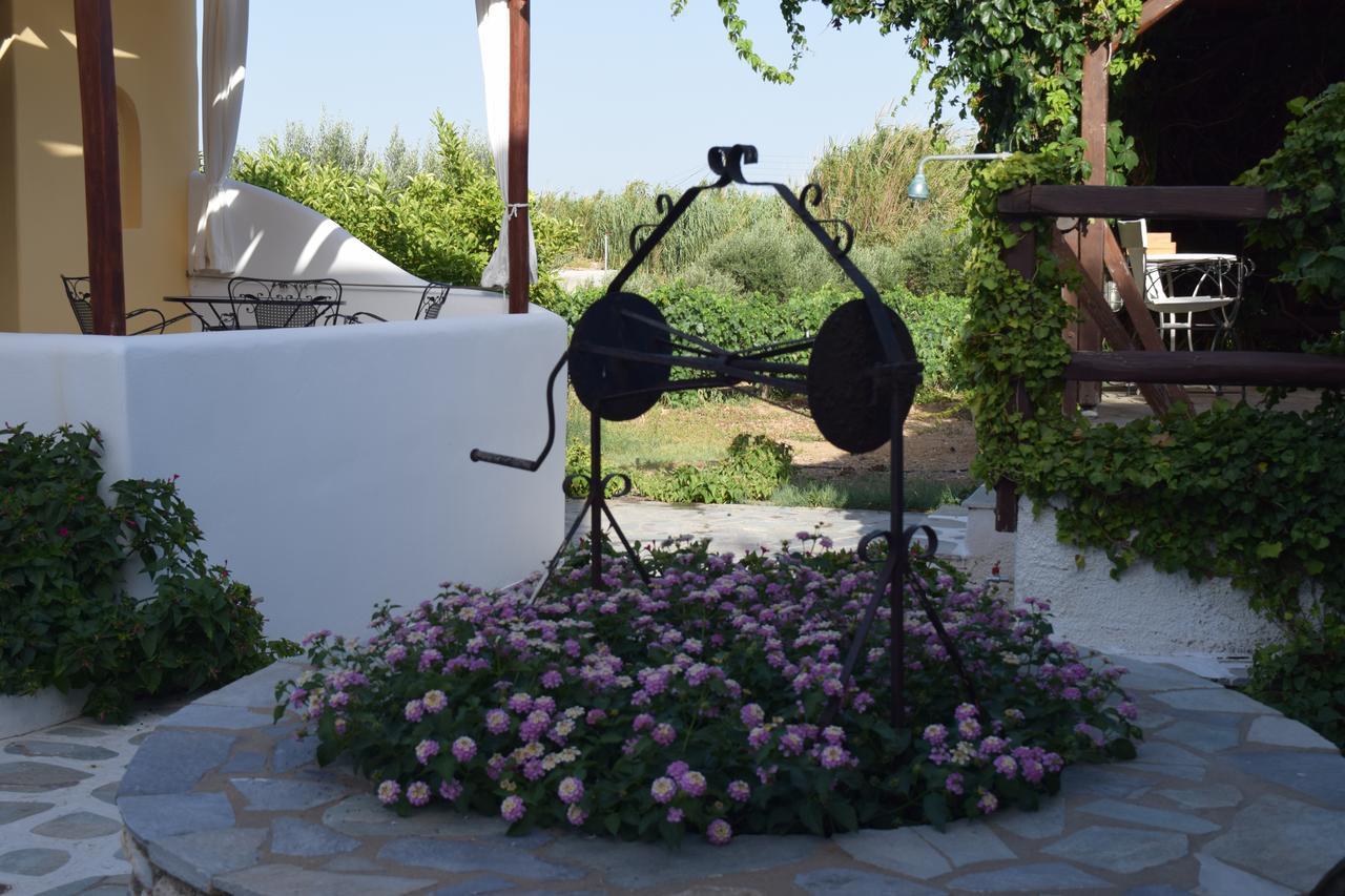 Tzane Studios & Apartments - Steps Away From Golden Beach Chrisi Akti (Paros) Exterior foto